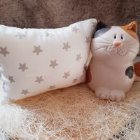 katzenkissen knisternd